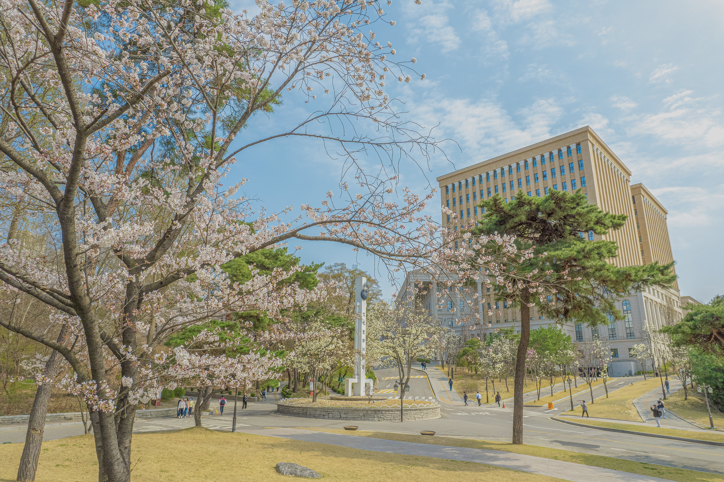 입시 안내